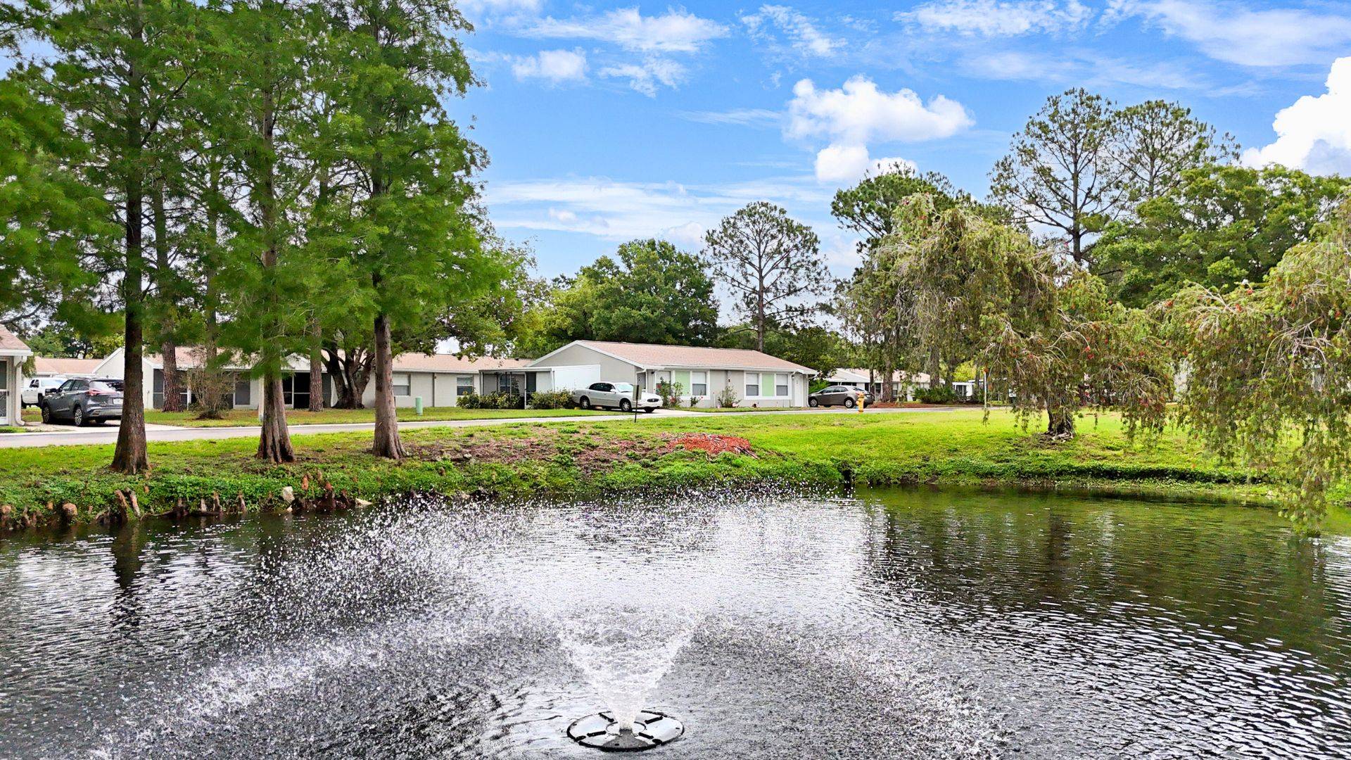 Palm Lake Village Brand Photo